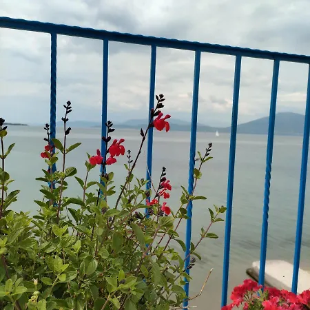 Guest house Papas On The Seafront