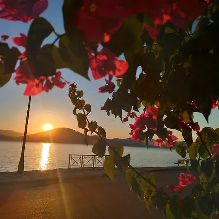 Papas On The Seafront