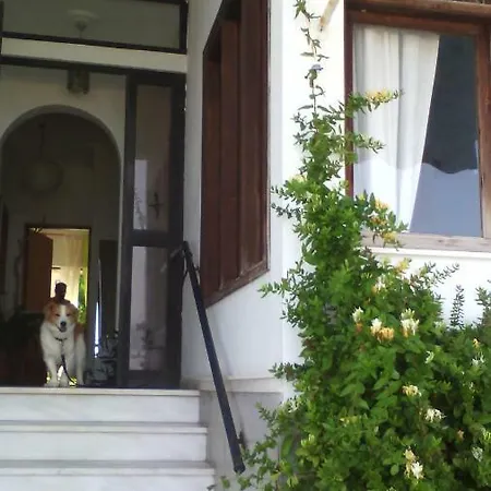 Casa de hóspedes Papas On The Seafront